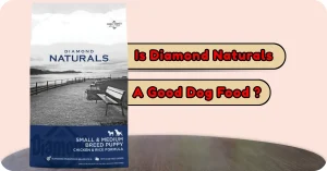 Diamond Natural Dog Food Review