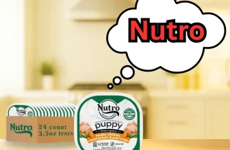 Nutro Dog Food