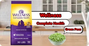 Wellness Complete Health Dog Food Review
