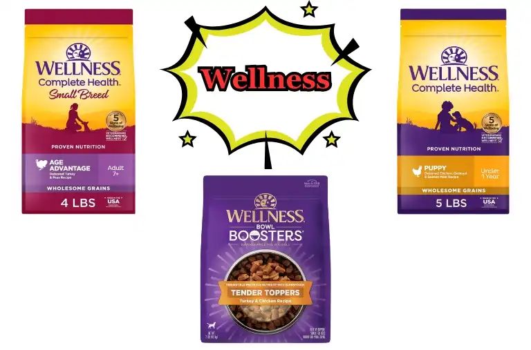 Wellness Complete Health Dog Food Review