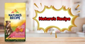 Best Inexpensive Dog Food