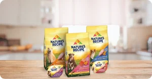 Best Inexpensive Dog Food Review