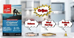 Orijen Dog Food