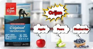 Review on Orijen Dog Food
