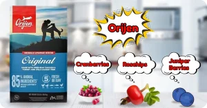 Is Orijen Dog Food Good