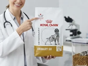 Problems with royal canin dog food