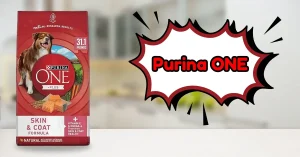 Purina ONE Sensitive Stomach & Skin Dog Food with Salmon – Best Skin Allergy Dog Food for adult dogs