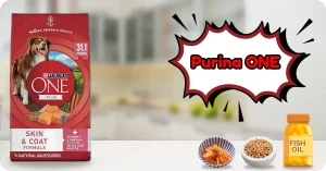 31.1 lb bag of Purina ONE Plus Skin & Coat Formula – Best Skin Allergy Dog Food for healthy digestion
