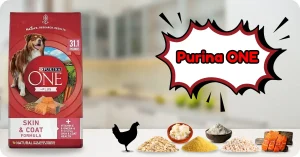 Purina ONE Adult Dry Dog Food with omega-rich ingredients – Best Skin Allergy Dog Food for sensitive dogs