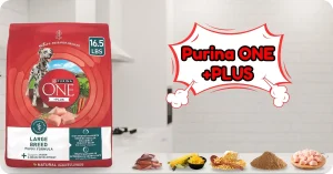 Top Large Breed Puppy Food Review