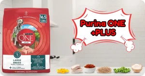 Top Large Breed Puppy Food