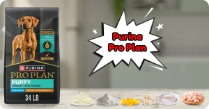 Top Rated Puppy Dry Dog Food Review