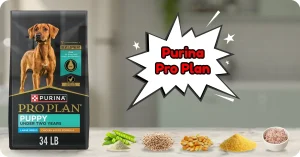 Purina Pro Plan Dog Food