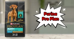 Top Rated Puppy Dry Dog Food