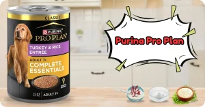 Best Senior Wet Dog Food Review