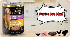 Best Senior Wet Dog Food