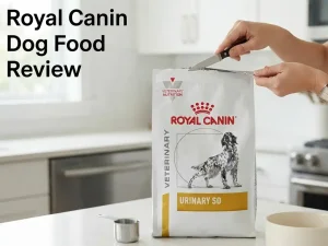 Royal Canin Dog Food Review