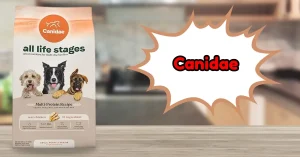 Best Dry Dog Food For Large Dogs