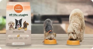 Canidae All Life Stages recipe – Best Dry Dog Food for Large Dogs with probiotics, vitamins, and minerals for healthy digestion and joints.