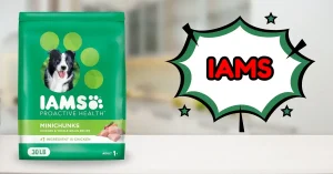 Bag of IAMS Proactive Health Minichunks Adult Dry Dog Food, 30 lb with real chicken flavor – Iams Proactive Health Dog Food Review