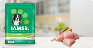 Close-up of IAMS Proactive Health Adult Dry Dog Food kibble showing small minichunks for easy chewing – Iams Proactive Health Dog Food Review