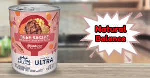 Is Natural Balance a Good Dog Food