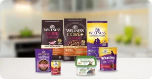 Pack of 12 Wellness Petite Entrées mini-filets with roasted chicken and beef for small breed dogs – Wellness Core Dog Food Reviews mention quality ingredients.