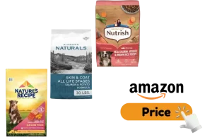 Best Salmon Dog Food