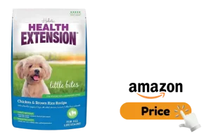 Health Extension