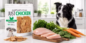 Is JustFoodForDogs a good dog food