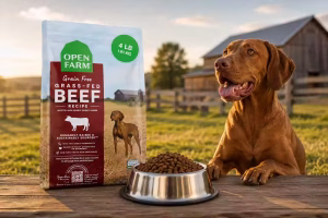 Is Open Farm a good dog food brand