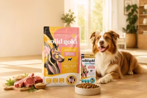 Is Solid Gold safe for dogs