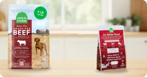 Close-up of Open Farm dog food kibble made with ethically sourced beef, showing why many pet owners ask is open farm dog food good for dogs’ health.