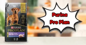 Purina Pro Plan Sport Performance 30/20 Turkey Duck & Quail Dry Dog Food – Is Purina Pro Plan Dog Food Good for active dogs?