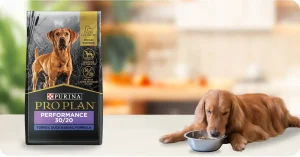 Purina Pro Plan Sport Performance 6 lb Turkey, Duck & Quail Formula – Is Purina Pro Plan Dog Food Good for joint and digestive health?