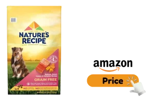 Salmon Dog Food Review