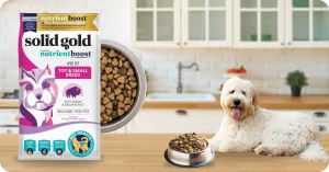 Bag of Solid Gold Small Breed Bison dry dog food with probiotics and high fiber – Is Solid Gold Dog Food Good for digestion?
