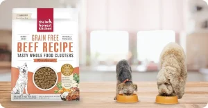 The Honest Kitchen Grain Free Dog Food – The Honest Kitchen Dog Food Review for adult dogs