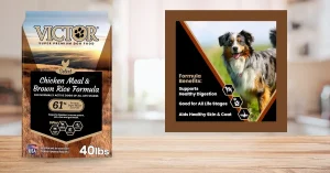 Dog eating VICTOR Super Premium Chicken Meal & Brown Rice recipe – is Victor a good dog food for active pets?