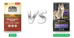 Acana vs Purina Pro Plan Dog Food
