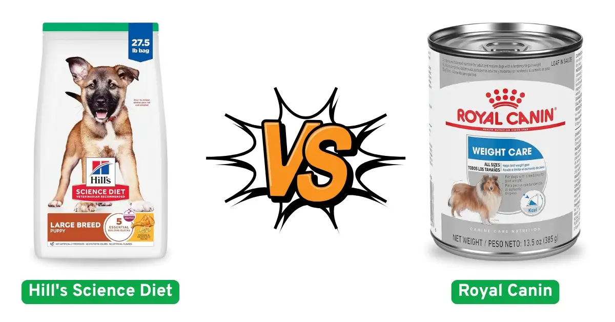 Hill's Science Diet vs Royal Canin Dog Food: My Honest Verdict   https://petfoodhubing.com