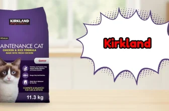 Kirkland Cat Food Review