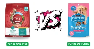 Purina ONE vs Purina Dog Chow
