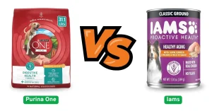Purina One vs Iams