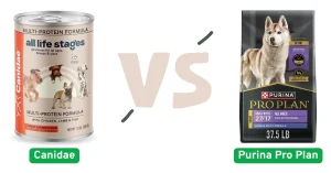 Canidae VS Purina Pro Plan