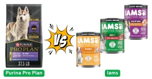 Purina Pro Plan vs Iams Dog Food