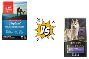 Orijen vs Purina Pro Plan