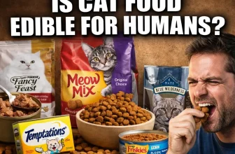 Is Cat Food Edible for Humans