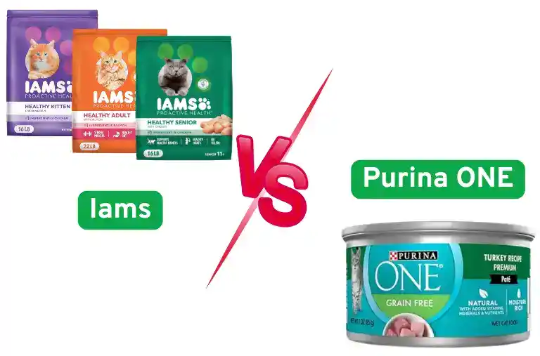 Iams vs Purina ONE Cat Food
