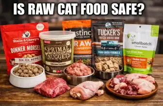 Is Raw Cat Food Safe